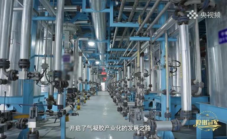 埃力生隐形冠军专题纪录片登陆央视频