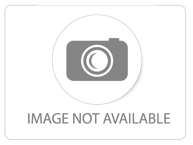 省委常委会暨省委人才工作领导小组召开会议